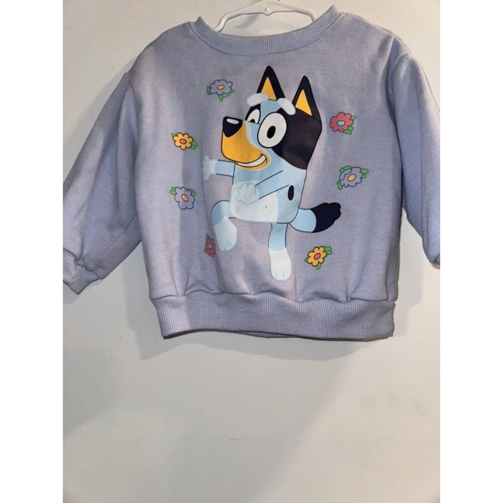 Kids Bluey Crewneck Sweatshirt-Size 3T
